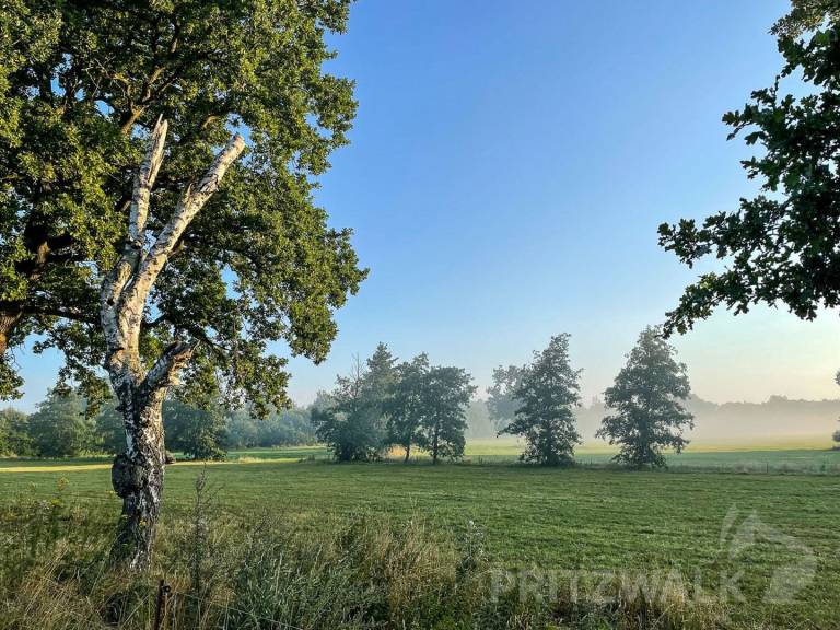 foto28