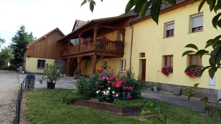 foto10