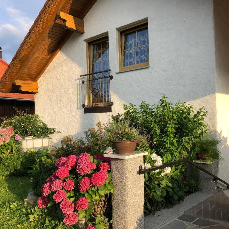 foto16