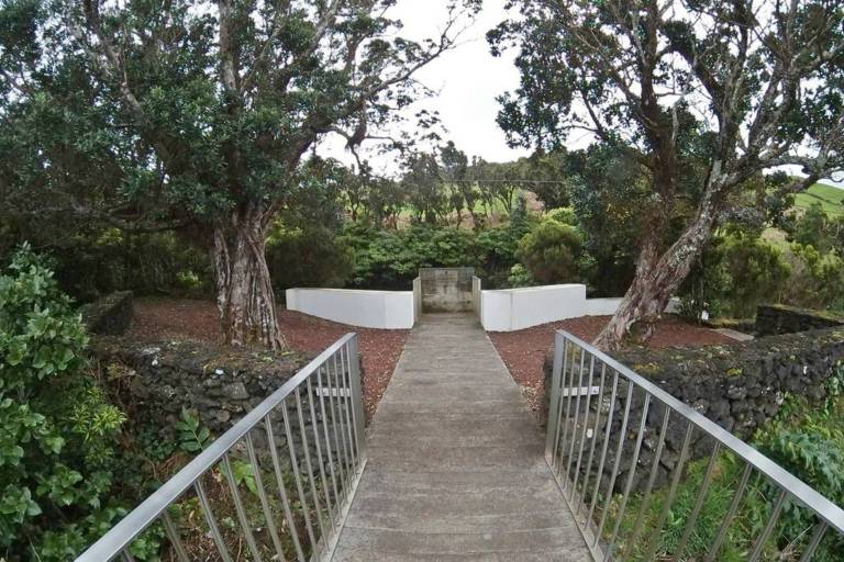 foto44