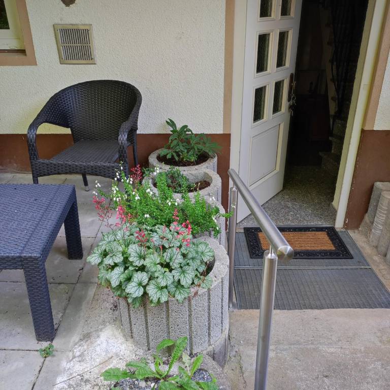 foto5
