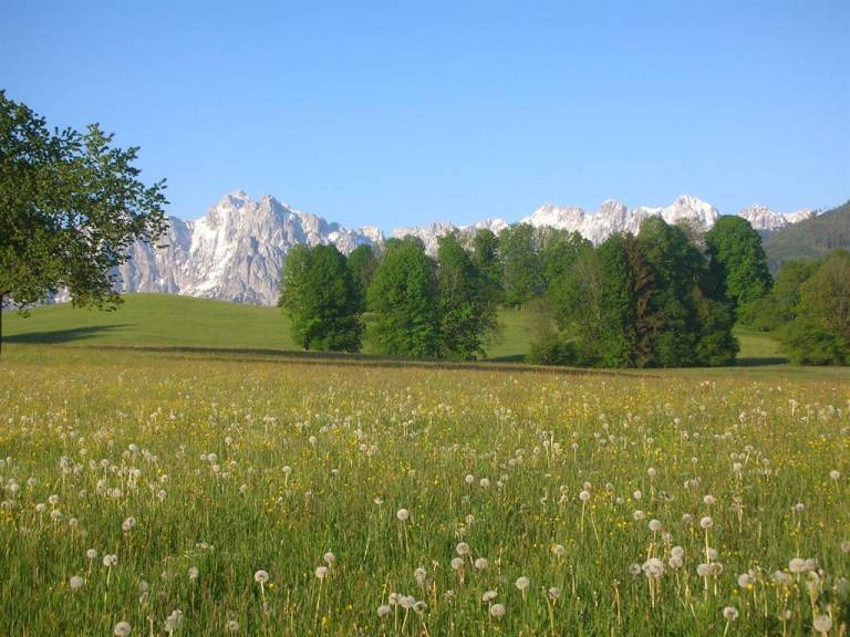 foto18