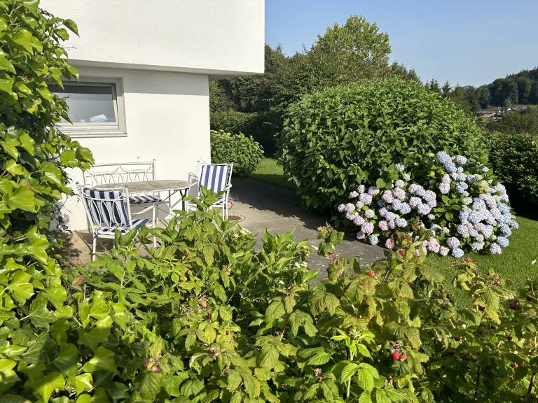 foto17