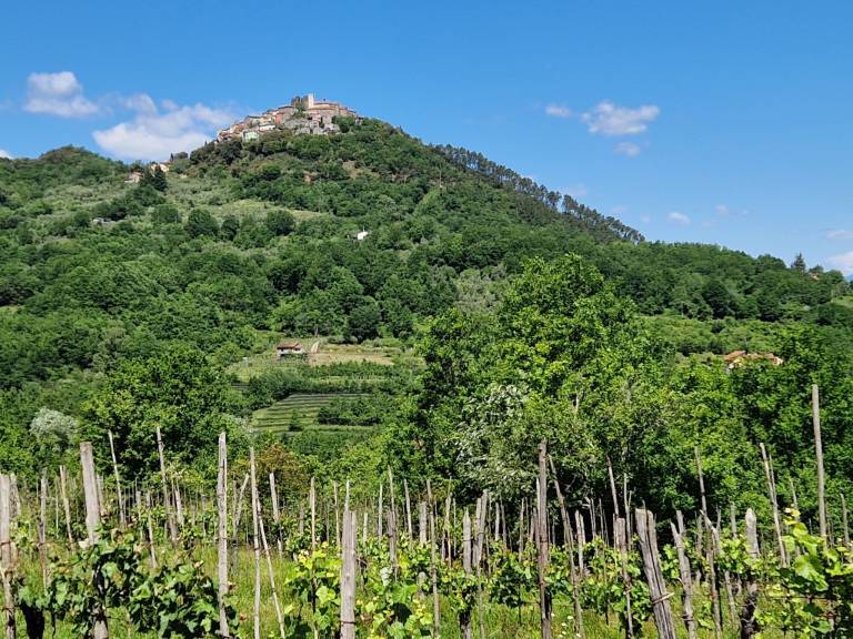 foto10