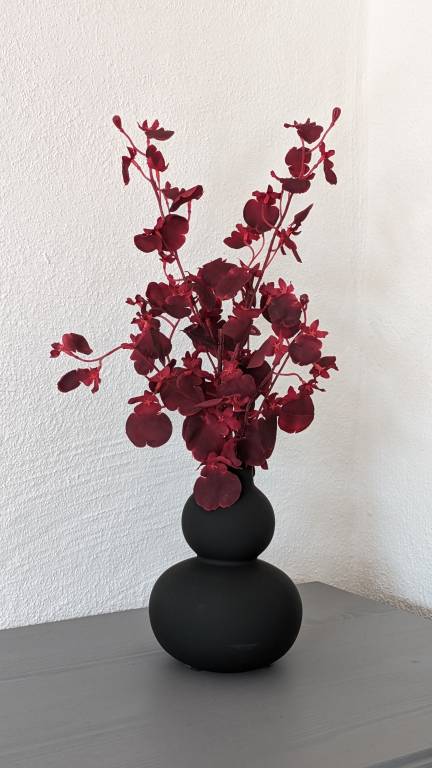 foto27