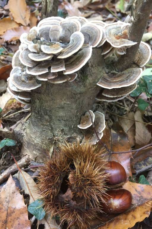 foto15