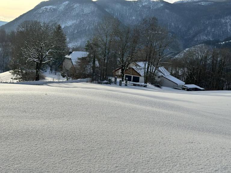 foto42