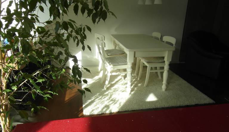 foto5
