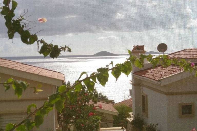 foto5