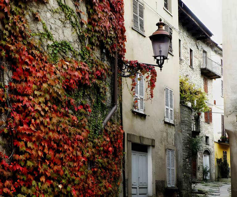 foto40