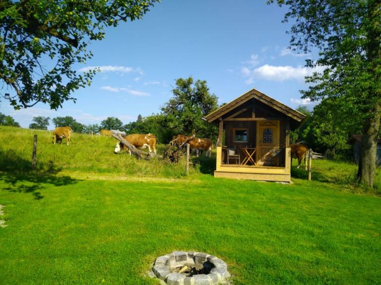 foto12