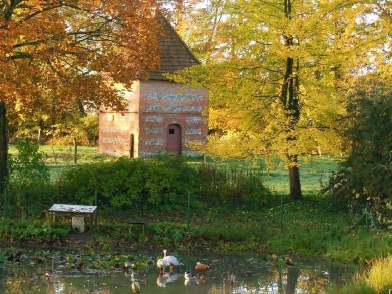 foto19
