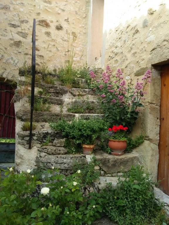 foto24