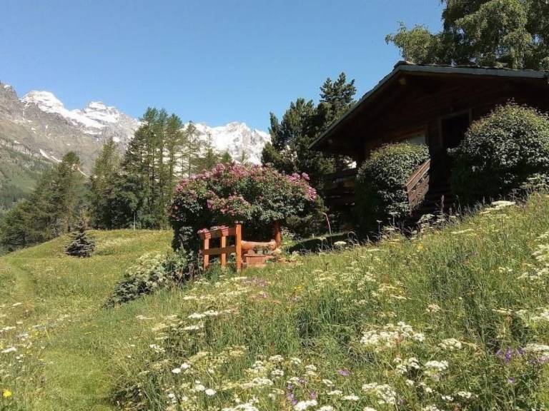 foto31