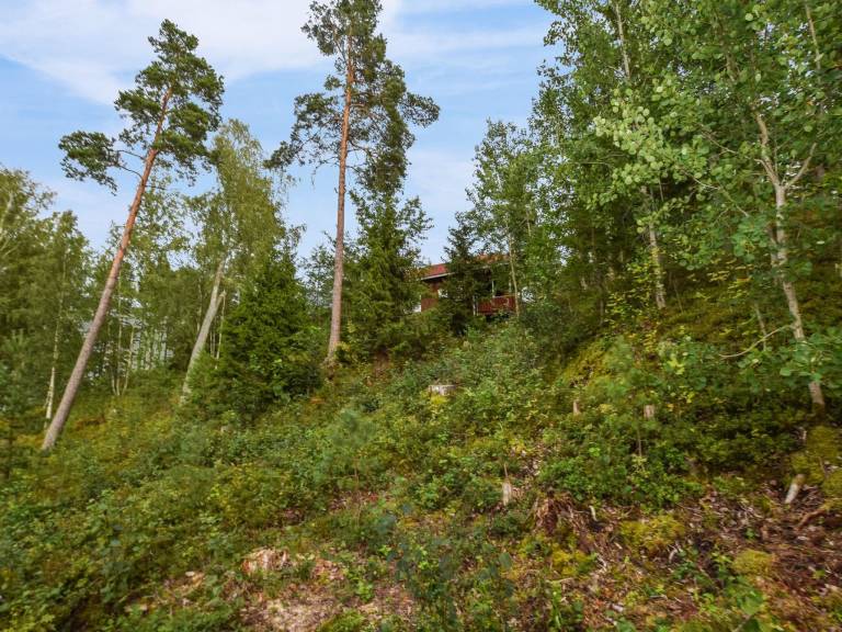 foto20