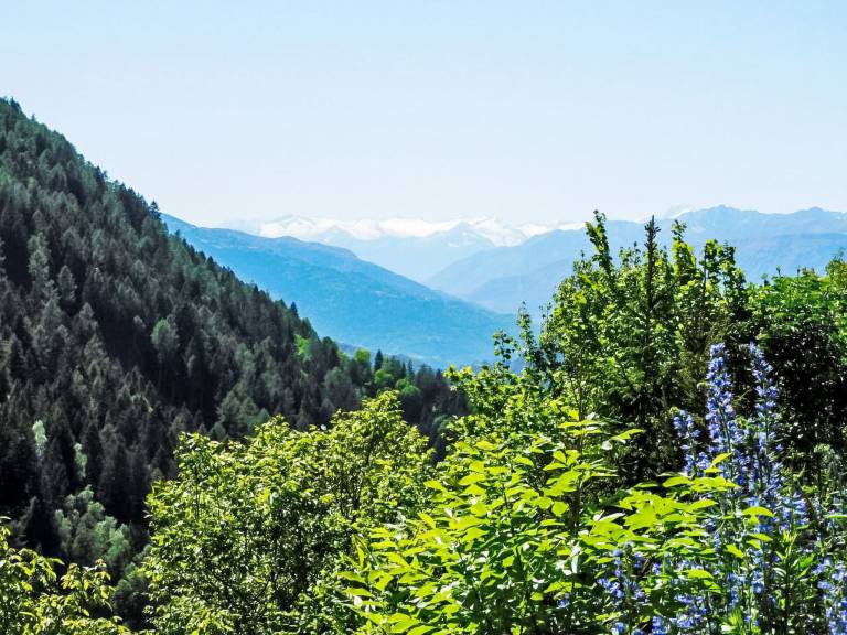 foto21