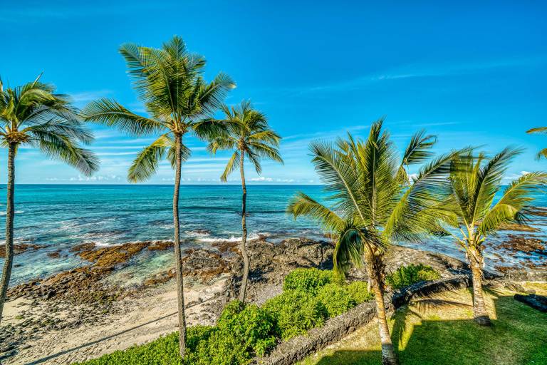 Condo  Holualoa