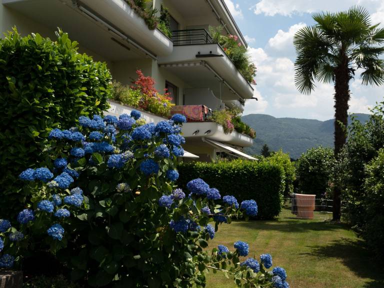 foto11