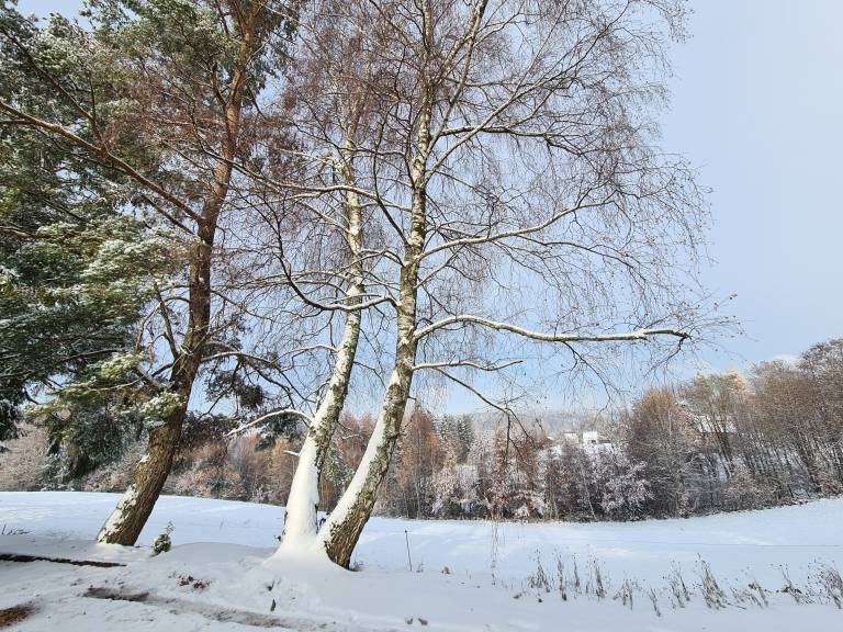 foto21