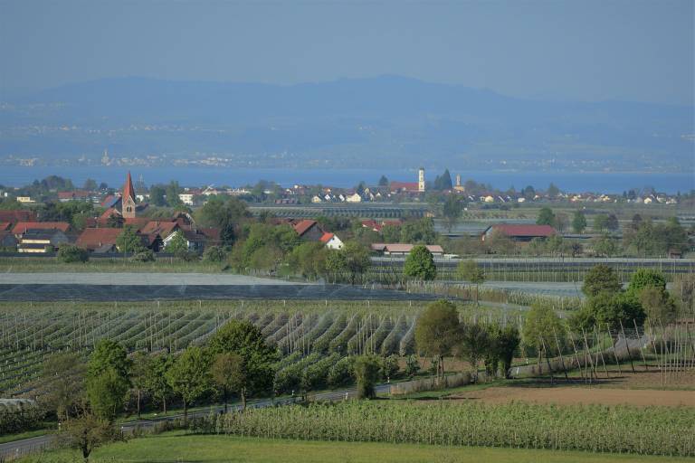 foto19