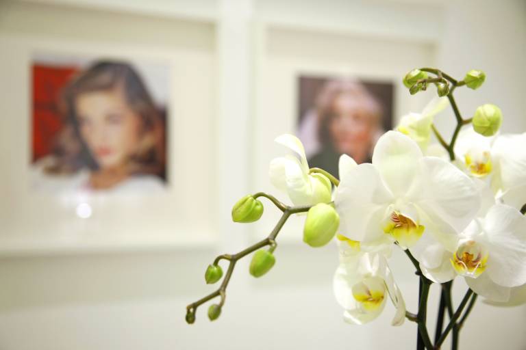 foto7