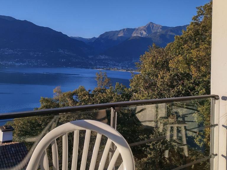 foto1