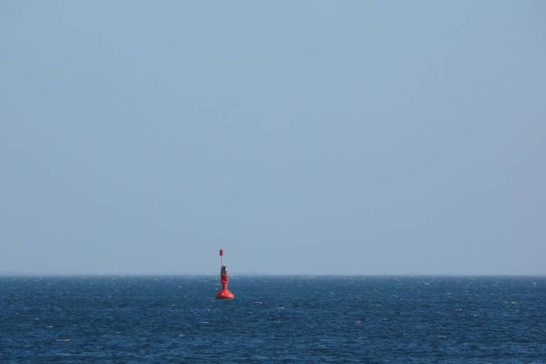 foto8