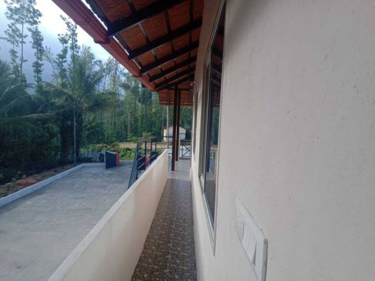 foto8