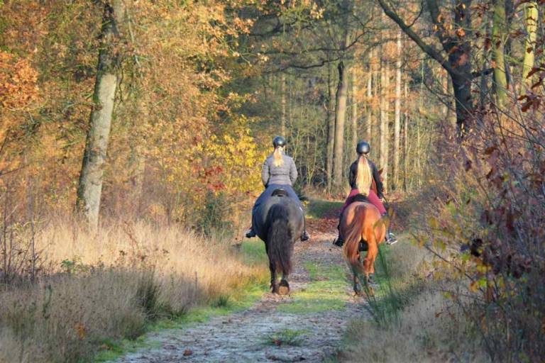 foto16