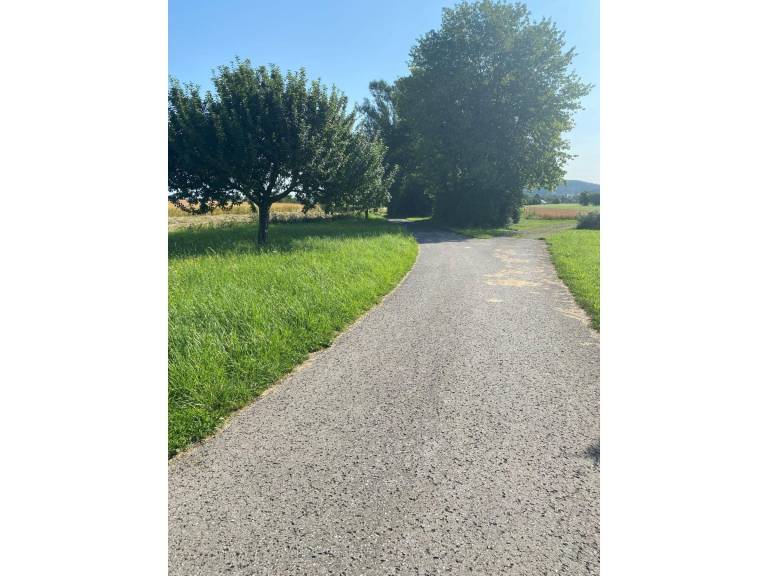 foto16