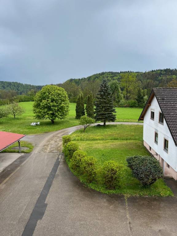 foto1