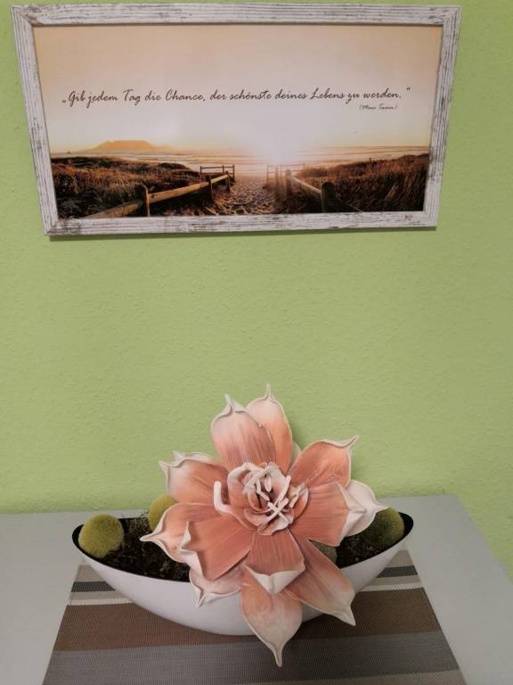foto8