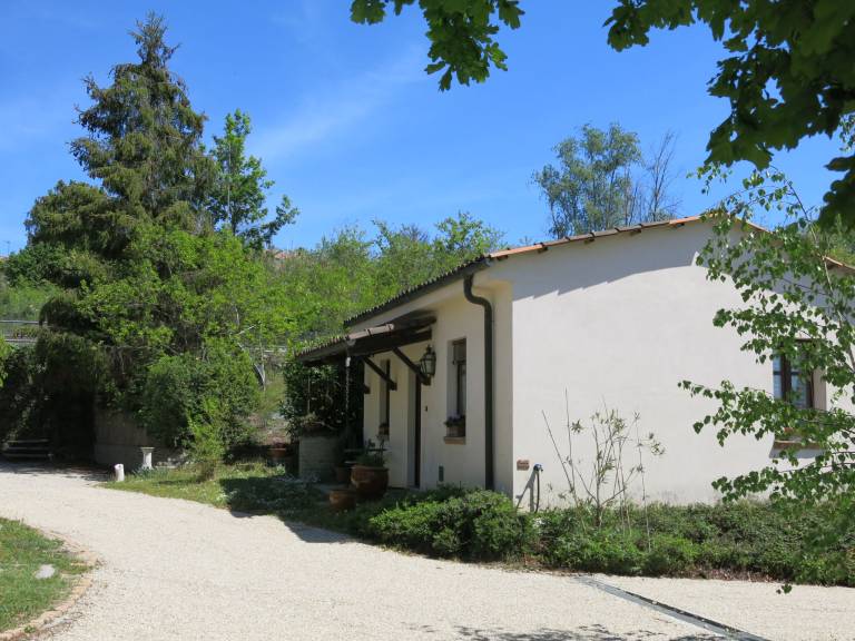 foto20