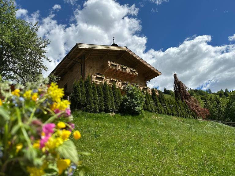foto11