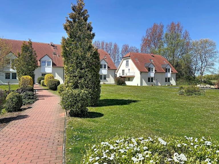 foto20