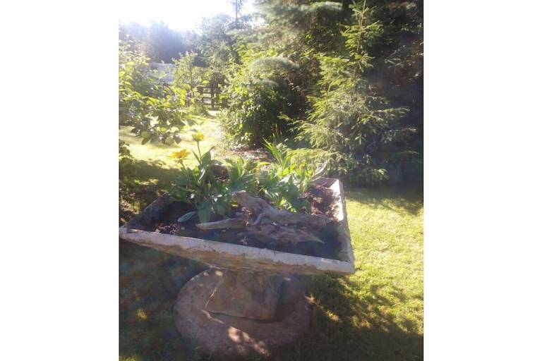 foto15