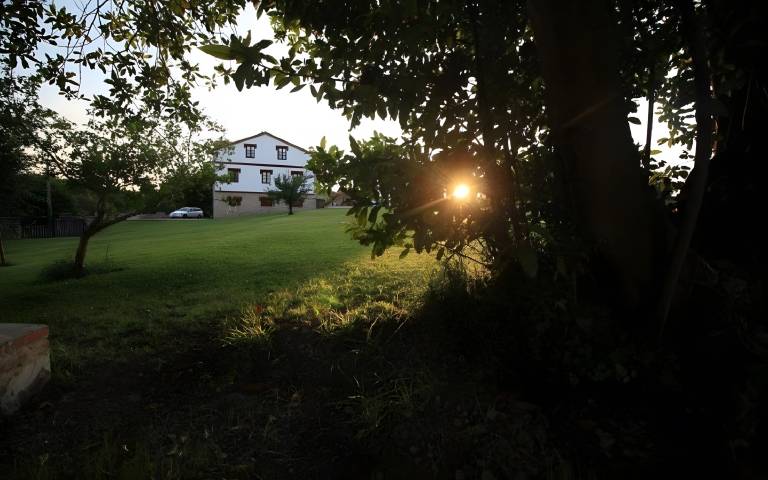 foto39