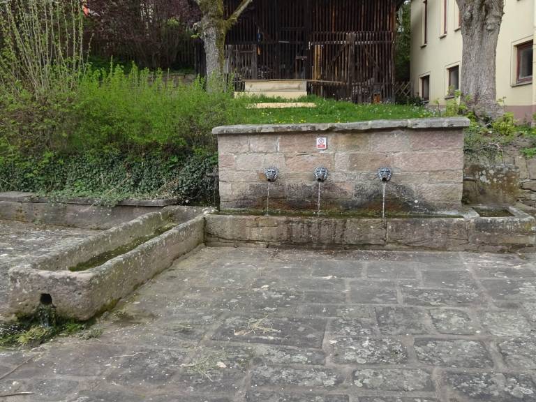foto19