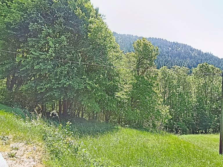 foto54