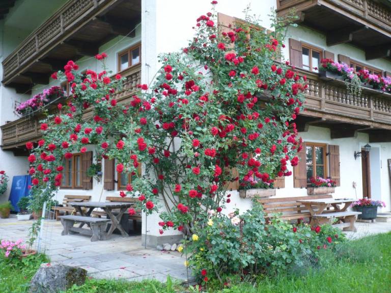 foto21