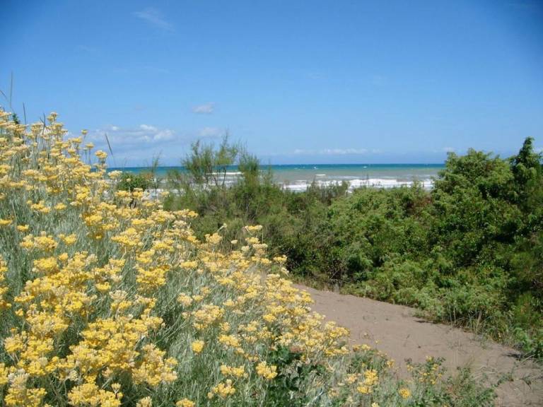 foto14