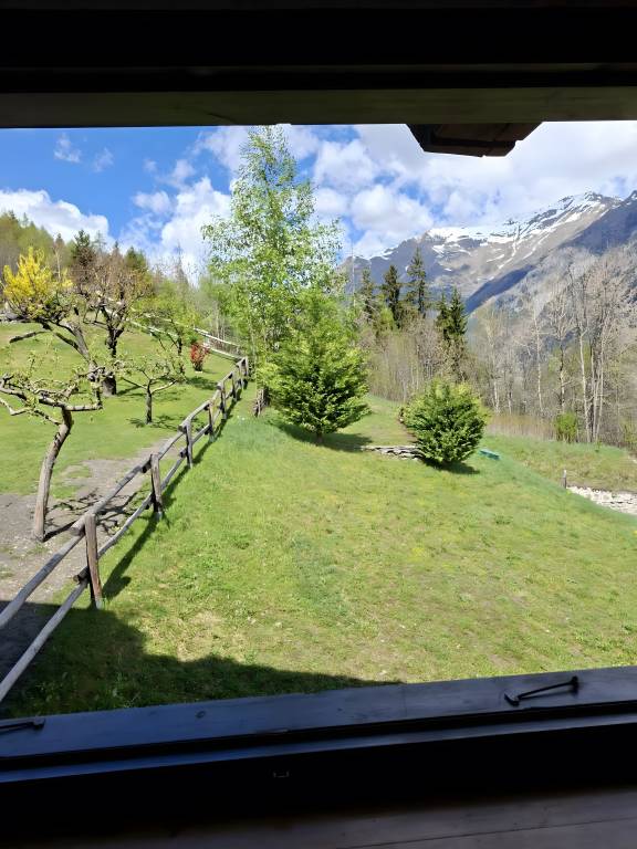 foto28