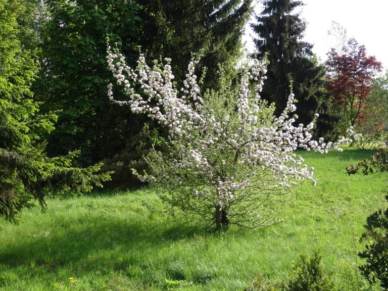 foto30