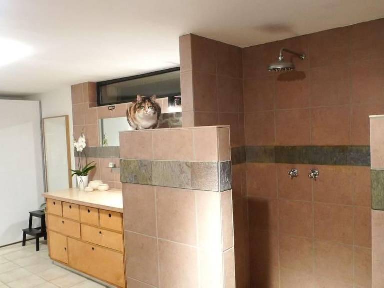 foto19