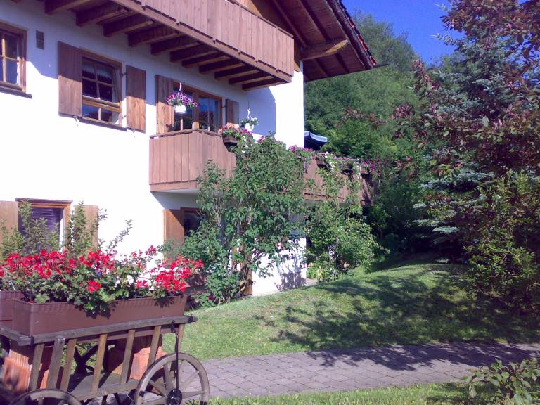 foto2