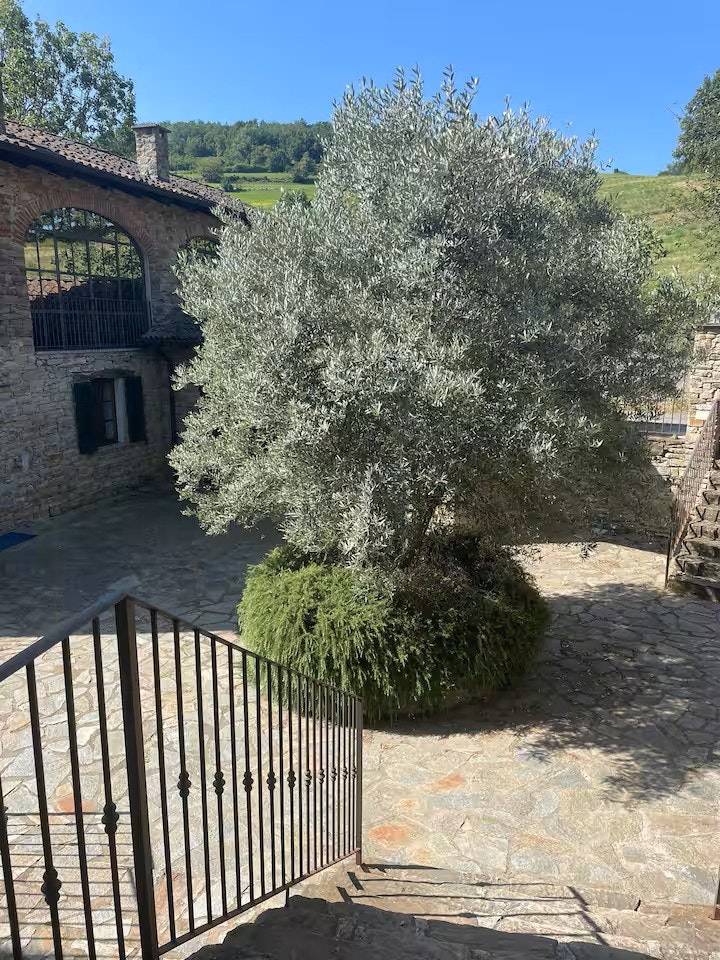 foto34