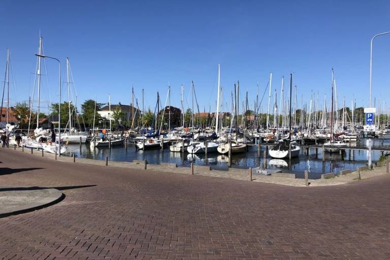 foto31