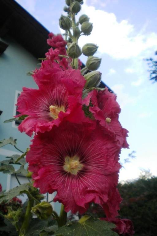 foto9