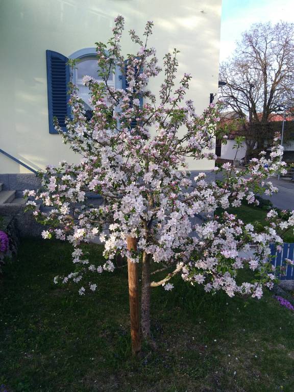 foto17