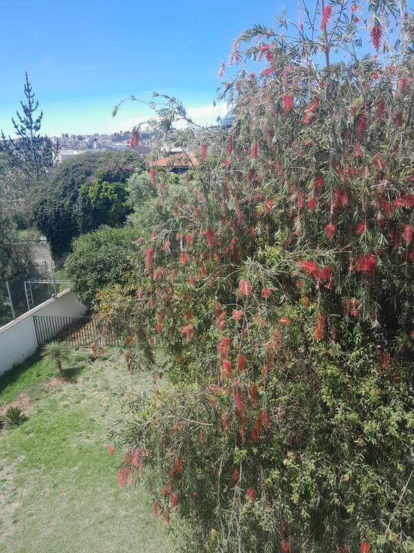 foto8